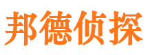 平鲁邦德私家侦探公司